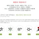 아리숨
