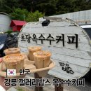 씨유강릉녹색도시점 | 강릉 카페 갤러리밥스 웨이팅 시간 주차 초당옥수수커피 추천