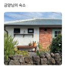 루디아의작은집