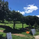 은지목장 이미지