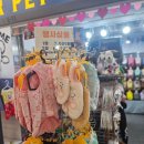 강남역 지하상가 슈퍼펫에서 크림이 옷 구매 후기