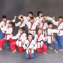 국가대표 SH 태권도장 이미지