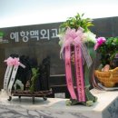 예항맥외과 이미지