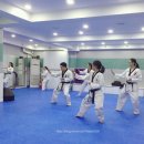 혁무태권클럽 이미지