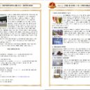 다운 태권도장 이미지