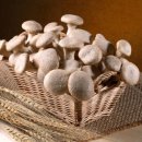 버섯마루 이미지