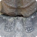 경주 남산 옥룡암 탑곡 마애불상군 숨은 명소 가볼만한 곳