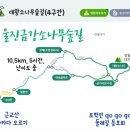 6월25일산행지변경합니다 안일왕산&금강송숲길(경북/울진)갑니다 이미지