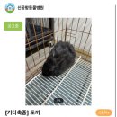 관악동물종합병원 이미지