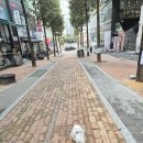 펫 아지트 | [내돈내산] 강아지 루비 펫리빙 필수템 ✨️ 원목집 + 사계절 이중누빔 방석 사용 후기 🐾