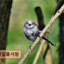 정일품서원