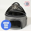 우리개 우리냥이 | 리스펫 고양이 숨숨 돔형 이동장, 우리 냥이 '최애템' 등극할까?