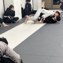 본주짓수평택안중 이미지