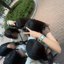 용산-이촌-223 이미지