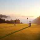 나도 스마트폰 사진작가 이미지