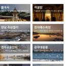 경주 별빛키즈 애견 풀빌라 이미지