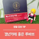 루바브 뿌리 추출물 에스트로겐, 여성 갱년기 극복엔 에스트로업 이알 후기!