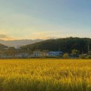 삼동 726 이미지
