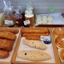 뉴 팡드
