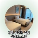 신라가든 | 강릉 숙소 추천 전객실 오션뷰 호텔 신라모노그램 강릉 디럭스 트윈 가든룸 후기