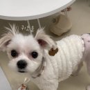 온새네 간식점 이미지