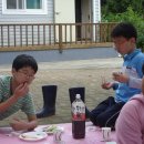 스테이 촌 이미지