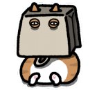 오묘 고양이카페호텔미용 이미지