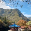 내장사입구 | 내장산 단풍 현황 내장사, 우화정 나들이 후기