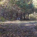 신평농협주유소 이미지