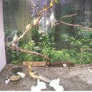 광희동물병원 이미지