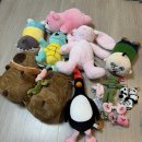 뽑기명당 이미지