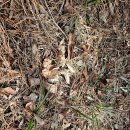 (주)호산 이미지