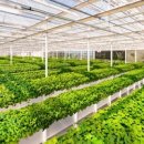 페이징컴퍼니 이미지