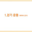 힘뇌체조 이미지