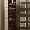 이광수동물병원 | [경기도 일산] 소노캄 고양 반려동물 동반 5성급 호텔 펫룸 후기