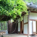 혜원마루 이미지