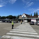 입장거봉포도(서울) 이미지