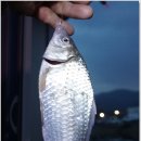 용담낚시터 이미지