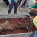 나비공원　 이미지