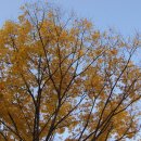 용호고등학교 이미지