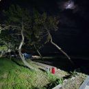 동호활어 이미지