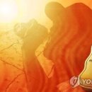 그늘막106 이미지