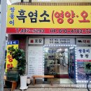 쌍둥이흑염소 이미지