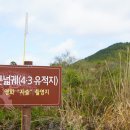 4月 M2) 4.3 70주년 발자취를 찾아서...(큰넓궤.볼레오름.정방폭포) 이미지