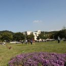 그라운드 골프장 이미지