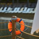 동산보청기 이미지