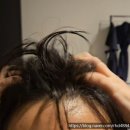 [탈모헤어토닉] 실비에라 그린티 트리니티 헤어토닉으로 탈모예방관리~!