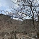 가야산휴펜션 이미지