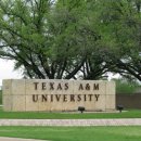 [미국주립대학] Texas A&M University-College Station, 텍사스A&M대학교-컬리지스테이션캠퍼스 이미지