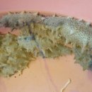 대명민박 이미지